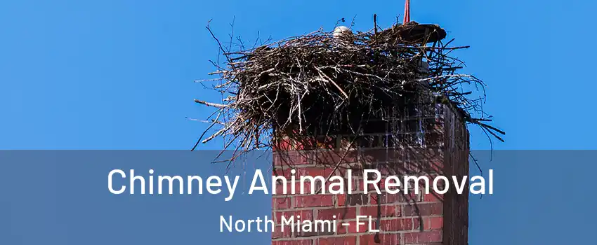 Chimney Animal Removal North Miami - FL