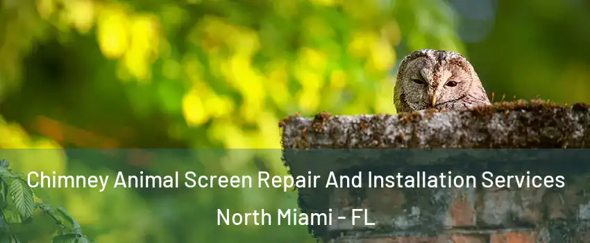  Chimney Animal Screen Repair And Installation Services North Miami - FL