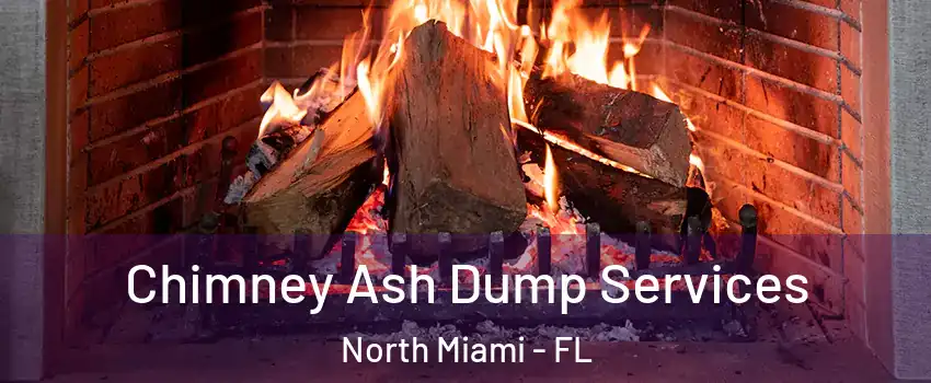  Chimney Ash Dump Services North Miami - FL