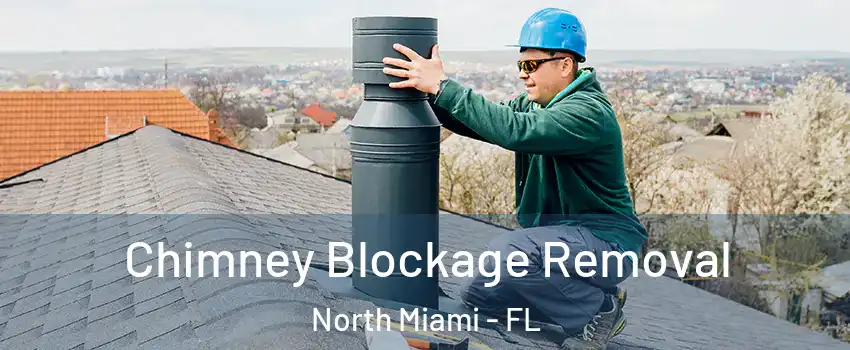  Chimney Blockage Removal North Miami - FL