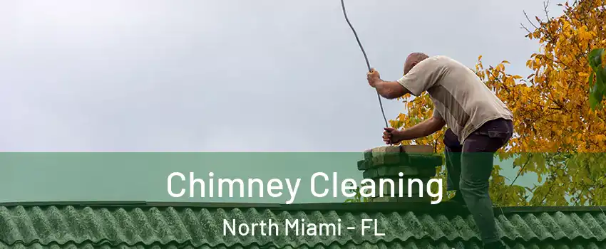 Chimney Cleaning North Miami - FL