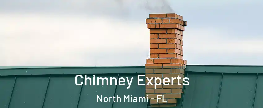  Chimney Experts North Miami - FL