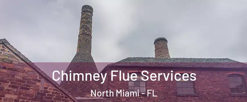  Chimney Flue Services North Miami - FL