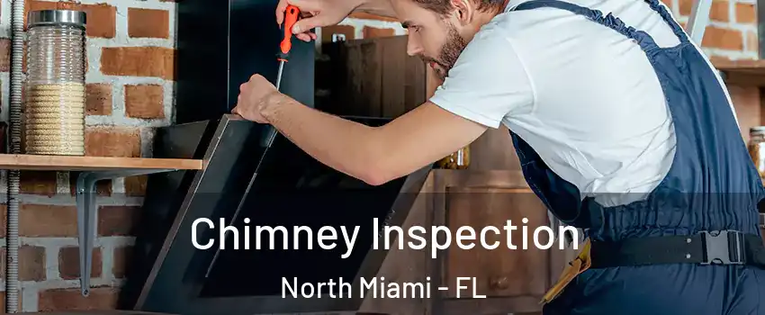  Chimney Inspection North Miami - FL
