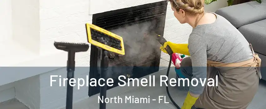  Fireplace Smell Removal North Miami - FL