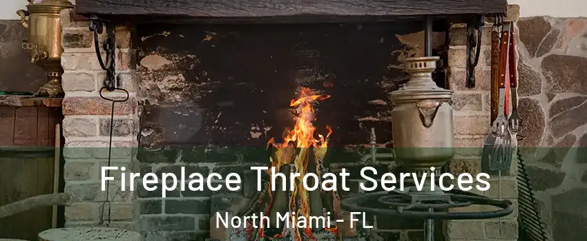  Fireplace Throat Services North Miami - FL
