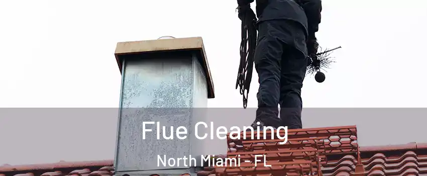  Flue Cleaning North Miami - FL