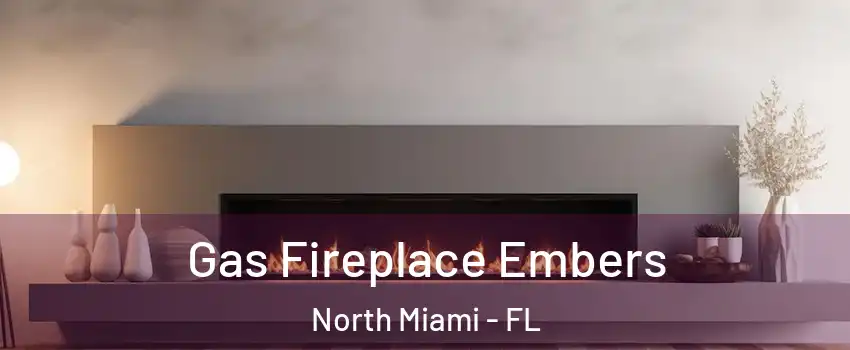  Gas Fireplace Embers North Miami - FL