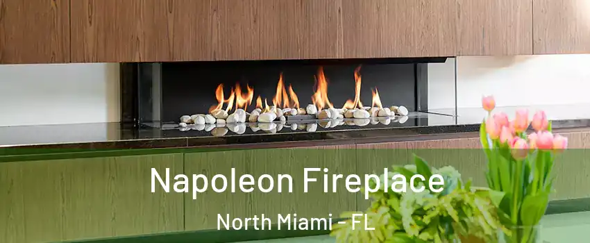  Napoleon Fireplace North Miami - FL
