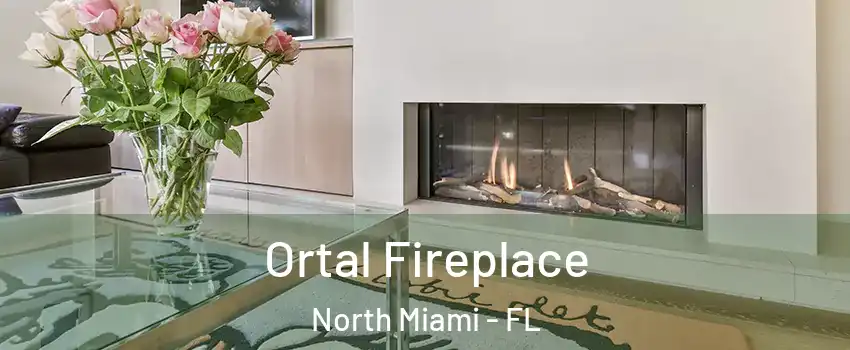  Ortal Fireplace North Miami - FL